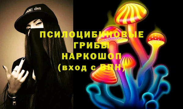 тгк Весьегонск